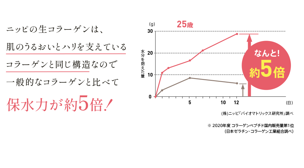 ニッピの生コラーゲンは、肌のうるおいとハリを支えているコラーゲンと同じ構造なので一般的なコラーゲンと比べて保水力が約5倍！