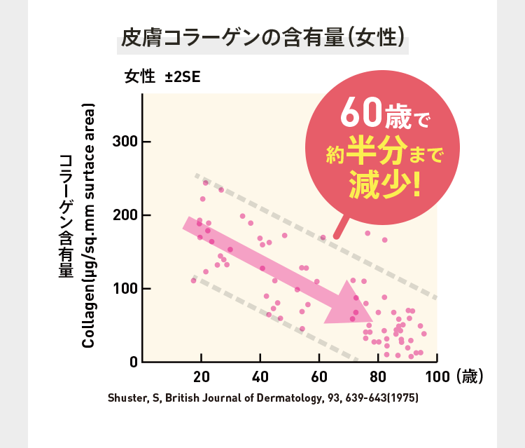 グラフ:皮膚コラーゲンの含有量（女性）