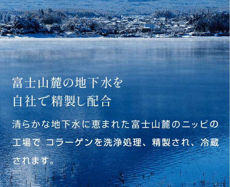 富士山麓の地下水を 自社で精製し配合 清らかな地下水に恵まれた富士山麓のニッピコラーゲン工業で コラーゲンを洗浄処理、精製され、冷蔵されます。