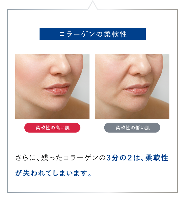NIPPI COLLAGEN | コレセンス スキンケア ジェル 生コラーゲン