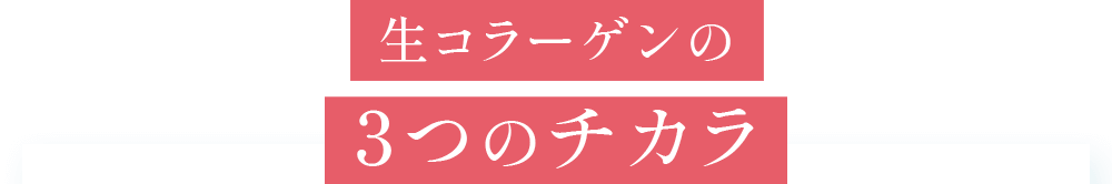 生コラーゲンの3つのチカラ