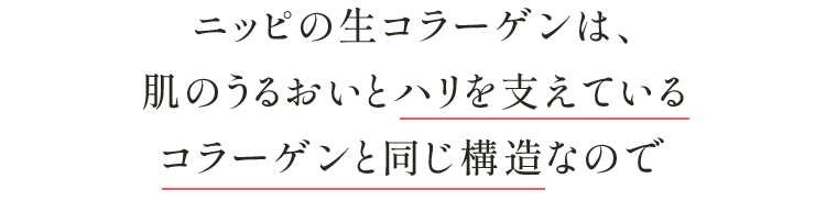ニッピの生コラーゲンは、肌のうるおいとハリを支えているコラーゲンと同じ構造なので