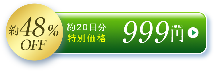 約48%OFF 約20日分特別価格999円